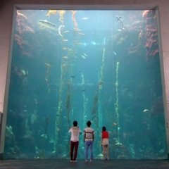 Just You Taiwanese Drama photo