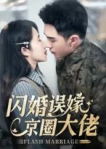 Flash Marriage Chinese Drama(2024) photo