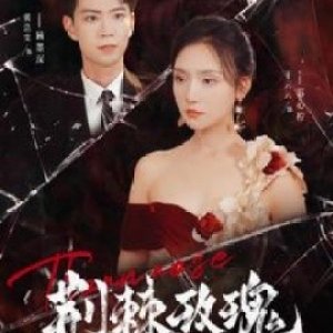 Damage (2024)