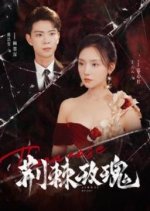 Damage Chinese Drama photo