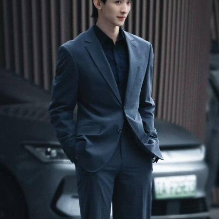 The Vanishing Beauty ()