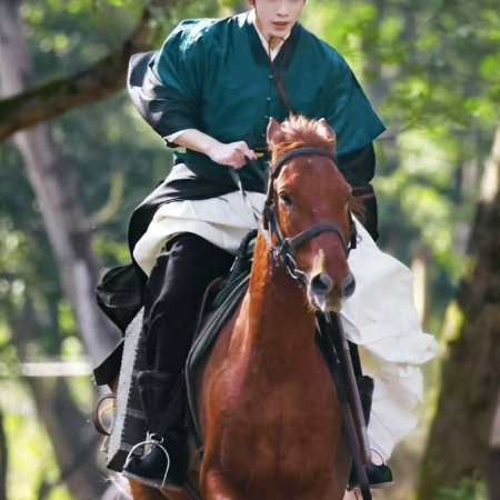 A Ming Dynasty Adventure ()