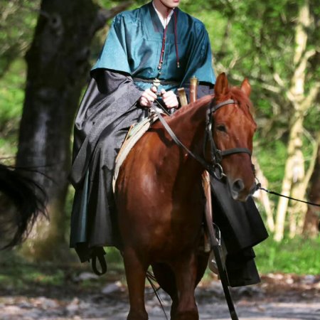 A Ming Dynasty Adventure ()