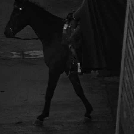 The Lament of Autumn ()