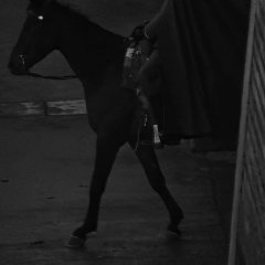 Yu Dian Qiu Chinese Drama(0000) photo