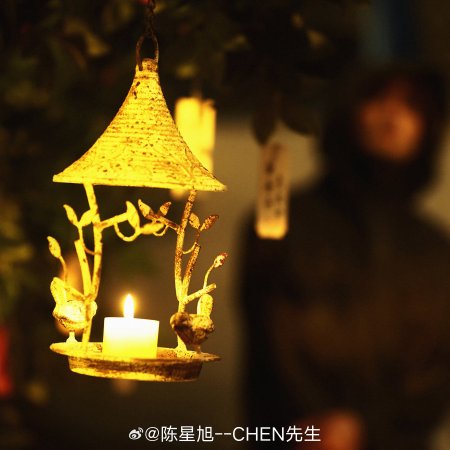 Love on the Turquoise Land (2025)