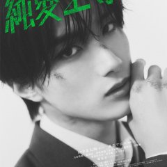 Love Punch! Japanese Movie photo