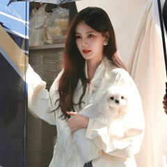 The Vanishing Beauty Chinese Drama photo