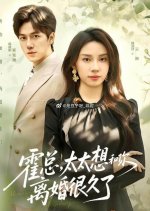 Huo Zong, Tai Tai Xiang Hei Ni Li Hun Hen Jiu Le Chinese Drama(2025) photo