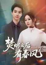 After Burning There Is Spring Breeze Chinese Drama(2025) photo