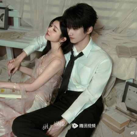 Sniper Butterfly (2025)