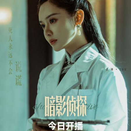 Shadow Detective (2025)