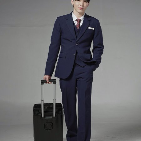 A Dog and a Plane ()