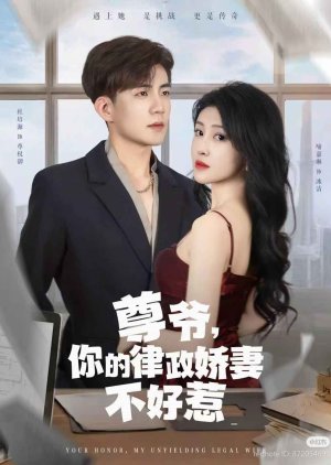 Your Honor, My Unyielding Legal Wife (2025) poster