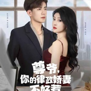 Your Honor, My Unyielding Legal Wife (2025)