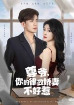 His Excellency's Formidable Wife Chinese Drama(2025) photo