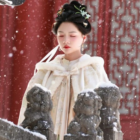 Liang Chen Mei Jin ()