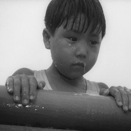 Muddy River (1981)