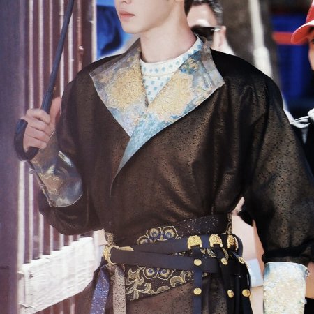 Jiang Shan Wei Pin ()