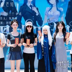 Hei Tao Si Jie Mei Chinese Drama(2025) photo