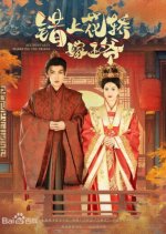 Accidentally Marrying the Prince Chinese Drama(2025) photo