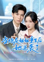 The Eleventh Year after My Death Chinese Drama(2025) photo