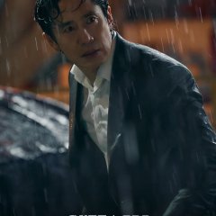Fifty Percent Korean Drama(2026) photo