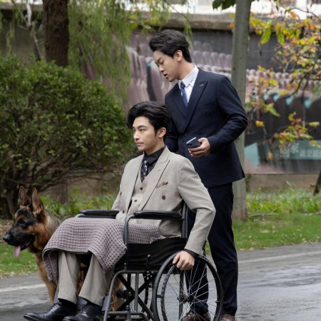 My Miracle Doctor Wife (2024)