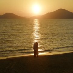 Marry My Husband Korean Drama photo