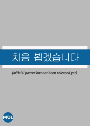 Nice to Meet You (0000) poster