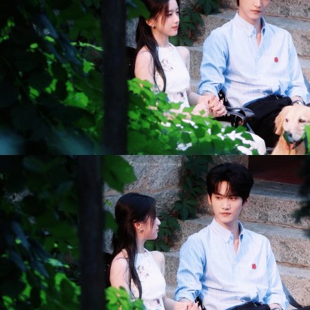 Never-Ending Summer ()