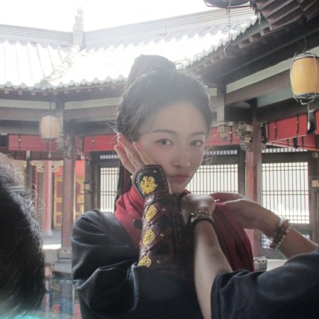 Jiang Shan Wei Pin ()