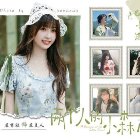 A Romance of the Little Forest (2022)