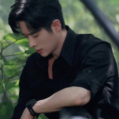 The Leading Stars Chinese Drama(2026) photo