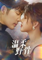 Wen Rou Ye Gu Chinese Drama photo