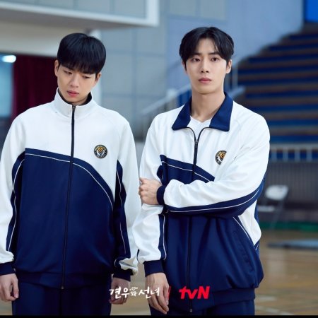 Head over Heels (2025)