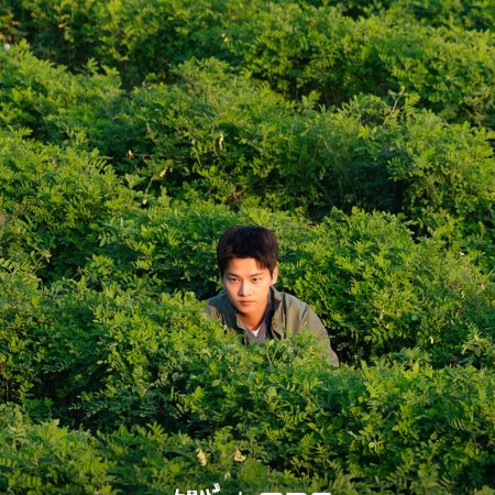 Oh My Ghost Clients (2025)