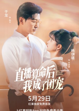 My Wife Is a Fairy (2025) poster