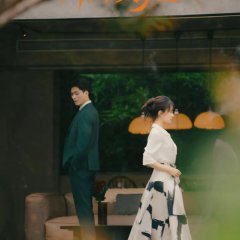 Love Is Highly Chinese Drama(2025) photo