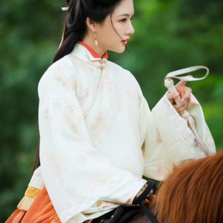 Liang Chen Mei Jin ()