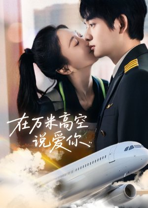 At an Altitude of Ten Thousand Meters (2025) poster