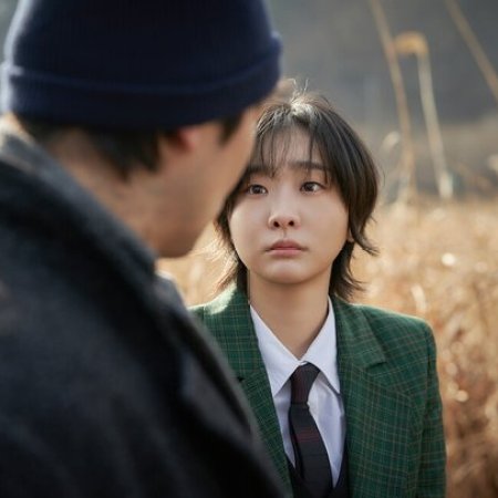 Nine Puzzles (2025)
