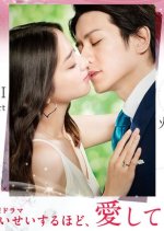 Seisei Suruhodo, Aishiteru Japanese Drama photo