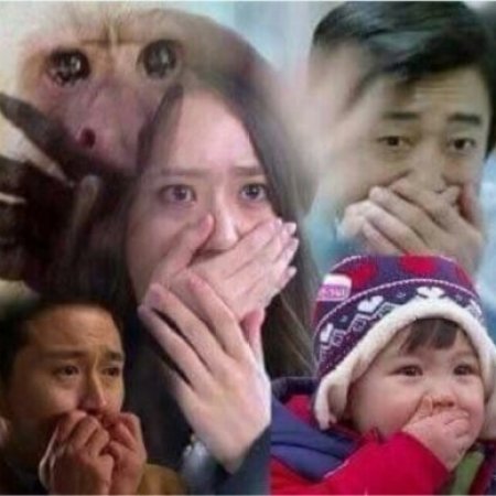 Kamisama no Boto  (2013)