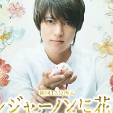 Kamisama no Boto  (2013)