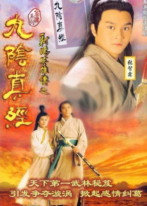 The Mystery of the Condor Hero (1993) poster