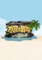 Law of the Jungle in Micronesia (2013) photo