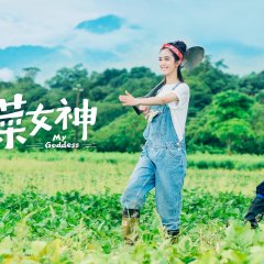 My Goddess Taiwanese Drama photo