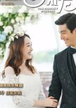 The Perfect Wedding chinese drama review