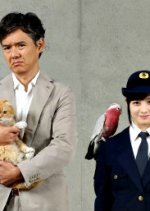 Keishicho Ikimono Gakari Japanese Drama photo